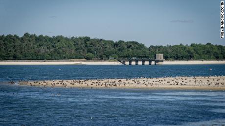 Lower water levels reveal parts of the shoreline in the Hanningfield Reservoir in Essex, England.