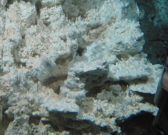 bacteria on a calcite column.