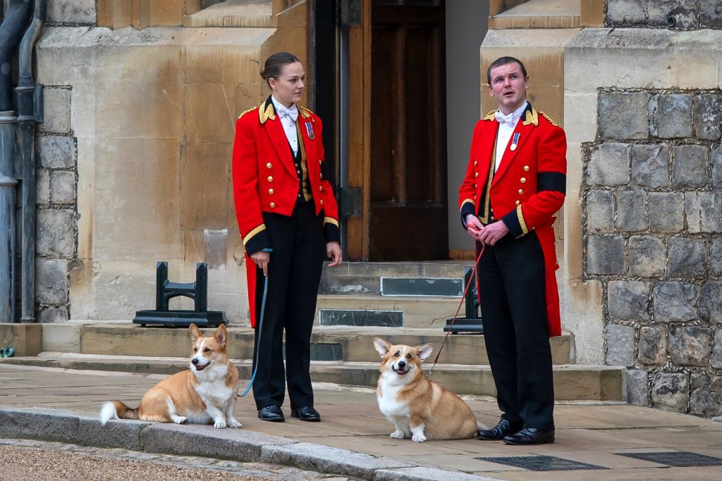 Queen Elizabeth’s dogs, pony: the role animals played at the funeral