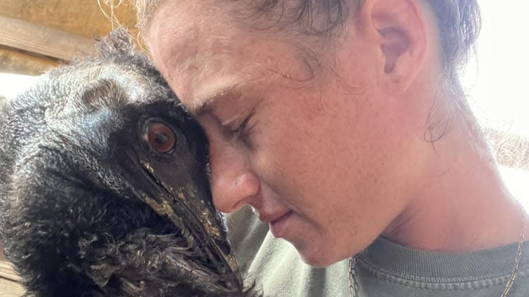 TikTok star Emmanuel the Emu fell ill with the deadly flu