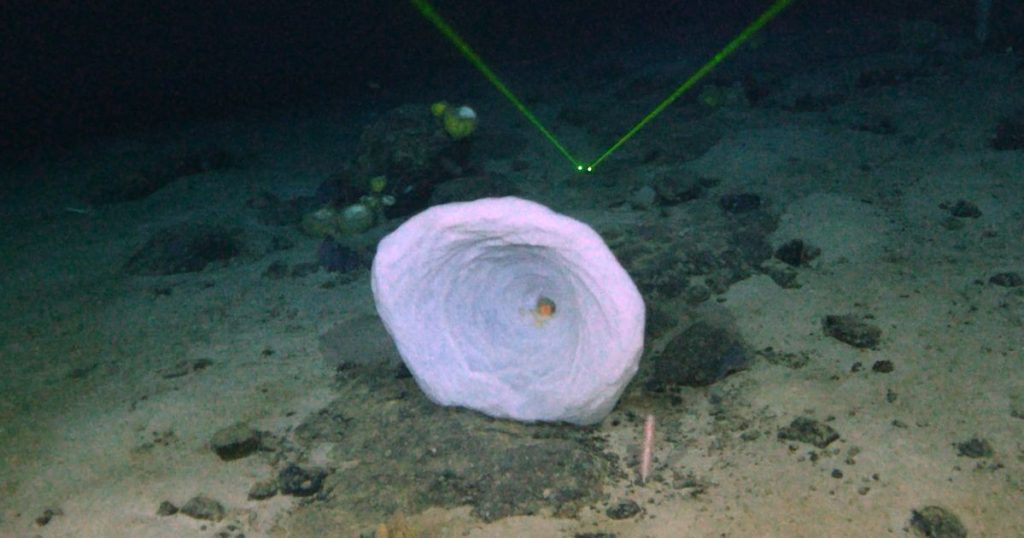 The discovery of a mysterious “large object” near the wreckage of the Titanic has finally been identified