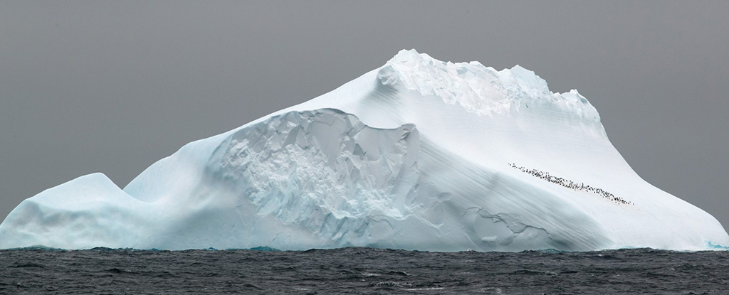 Ancient DNA discovered 1 million years ago in Antarctica: ScienceAlert