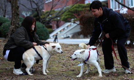 Gumi, left, and Songgang, in a park in Gwangju, South Korea.